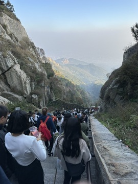蜜密爱直播想升级💐的图片