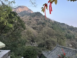 蜜密爱直播想升级💐的图片