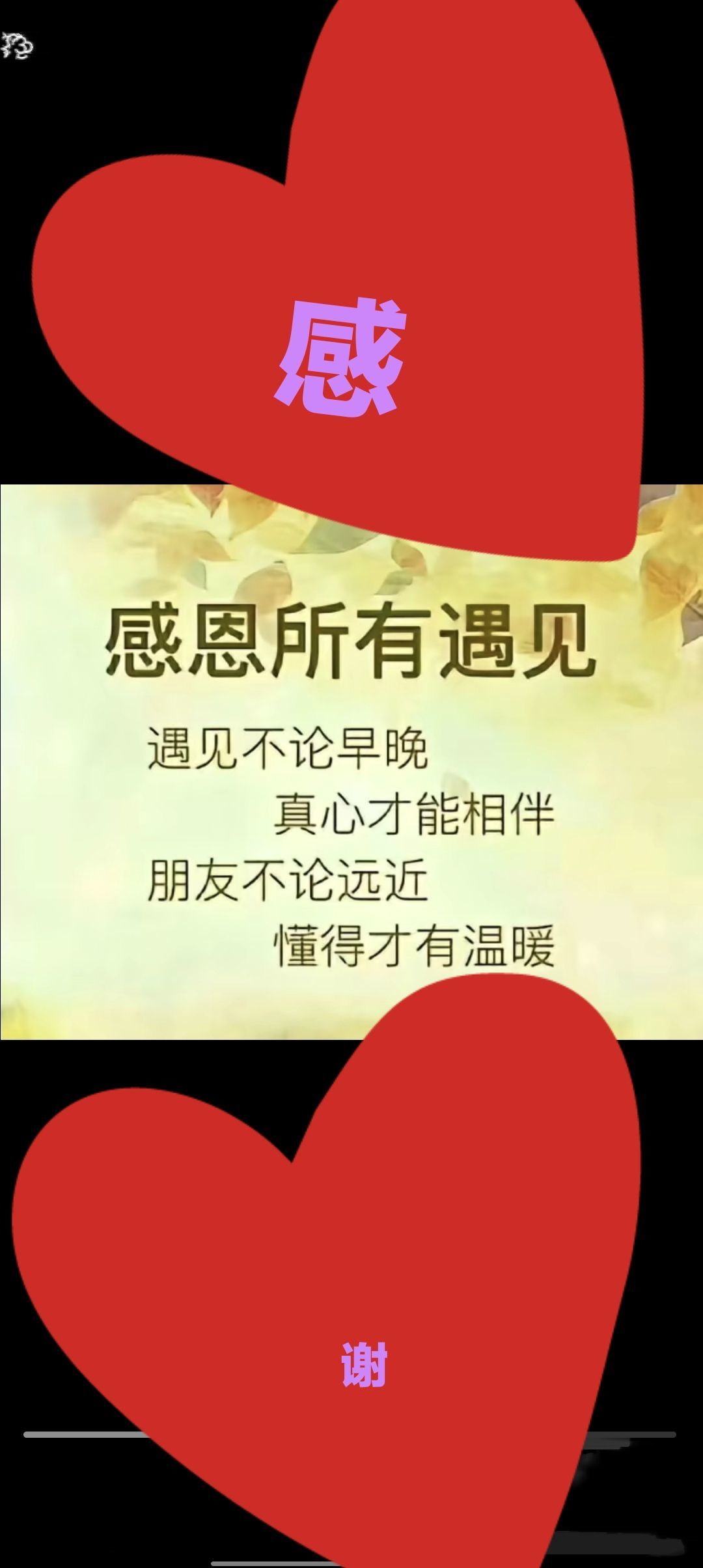 小白杨♡你听我唱的主播照片