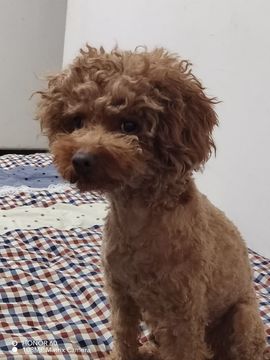 我欲化风成摩羯的图片
