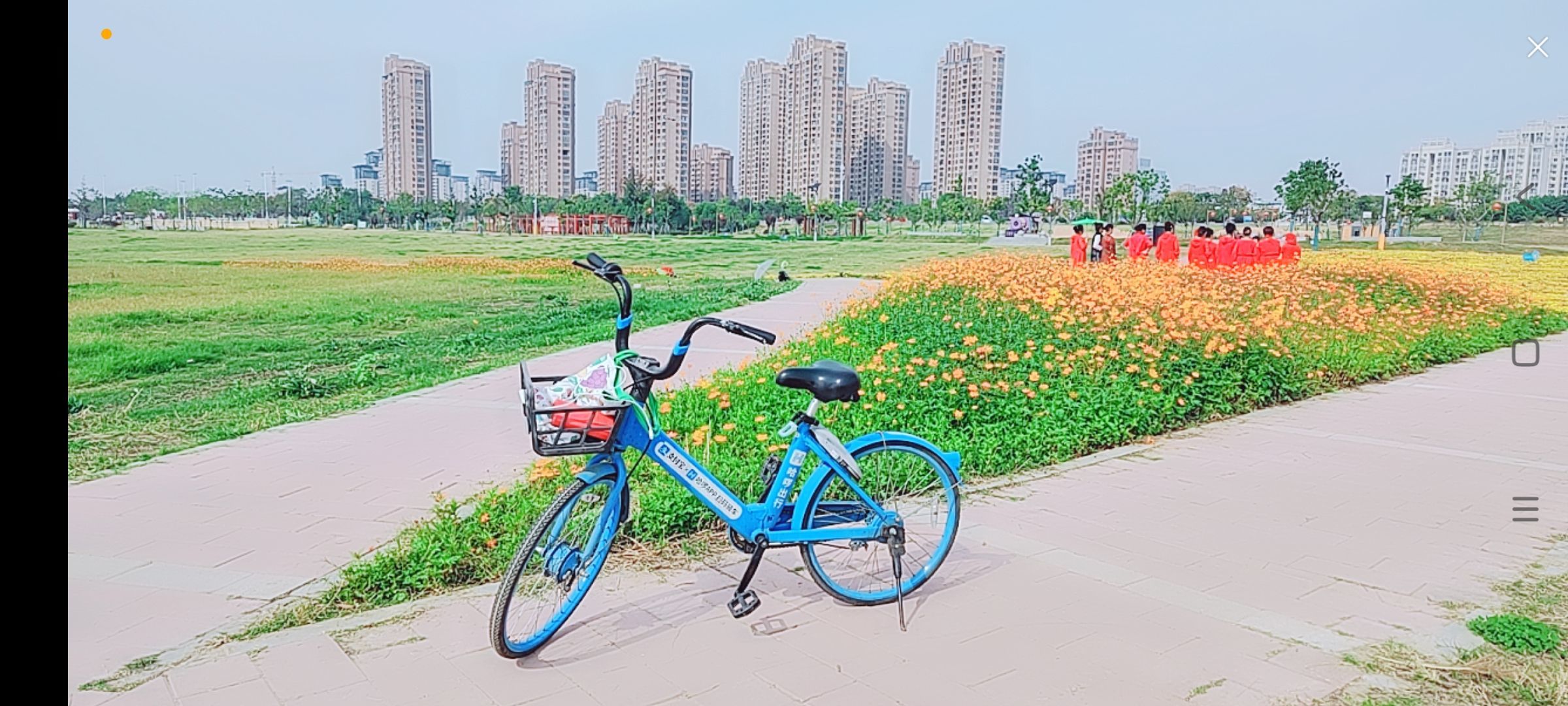 婷婷💕感恩有你陪伴的图片