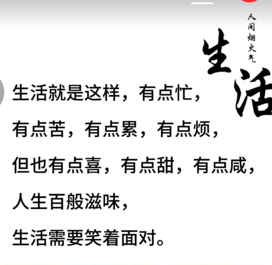 丑小鸭💞愿有一束光的图片
