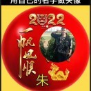 朱炳龙