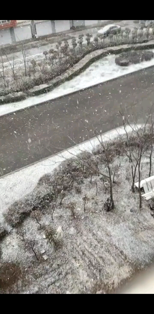 我的城市下雪了！一夜之间！天气