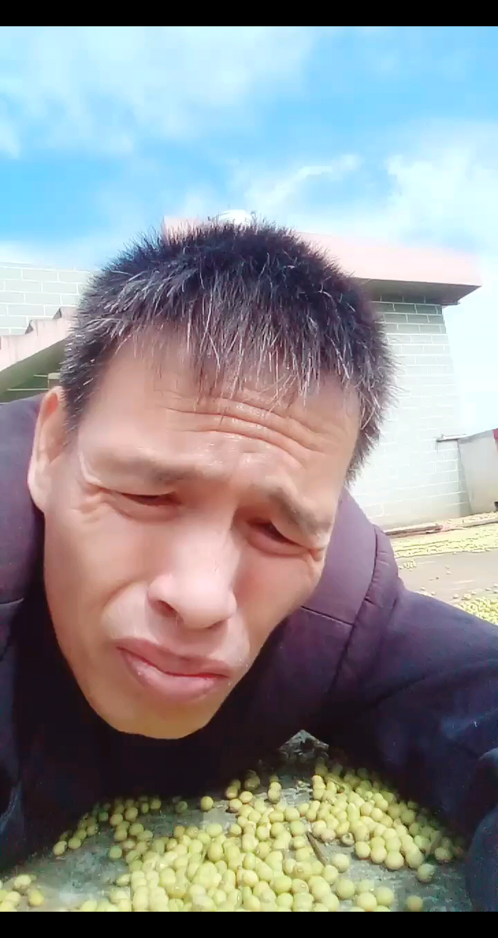 动态分享小视频