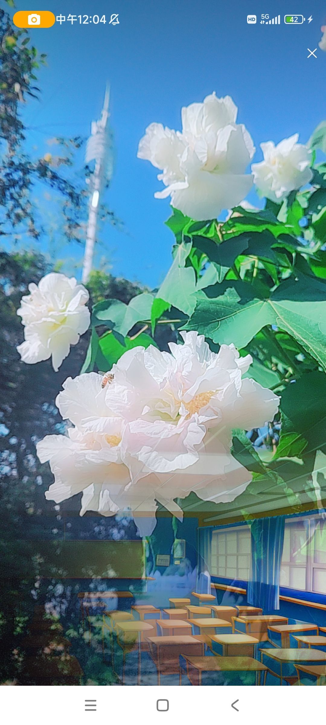 婷婷💕感恩有你陪伴的图片