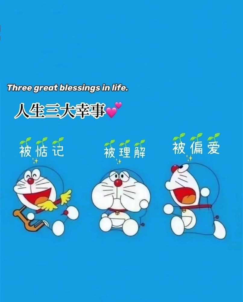 沈幼楚1211～的主播照片