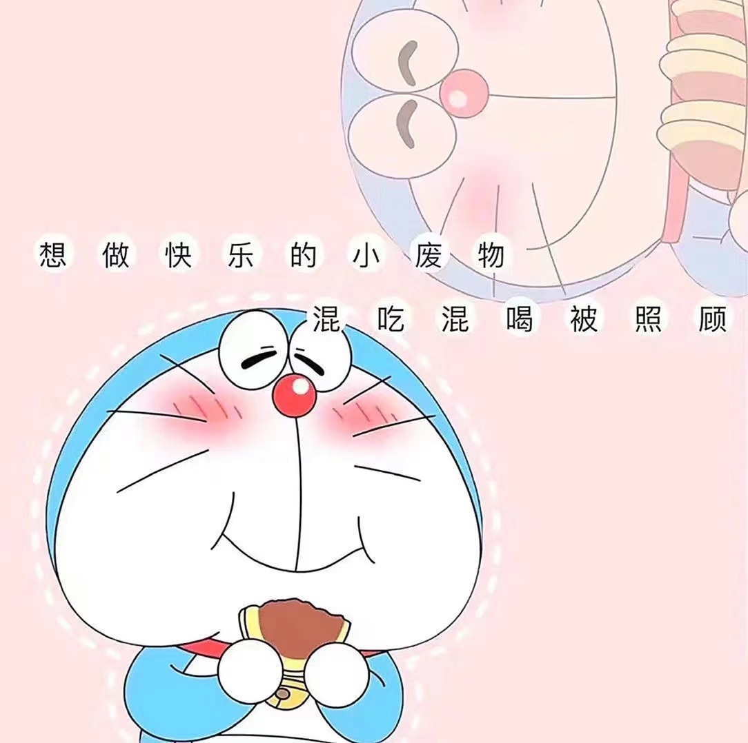 沈幼楚1211～的主播照片