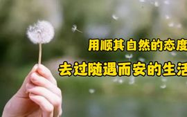 千言万羽主播照片