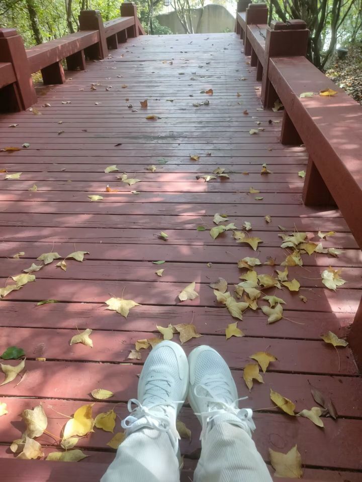 婷婷💕感恩有你陪伴的图片