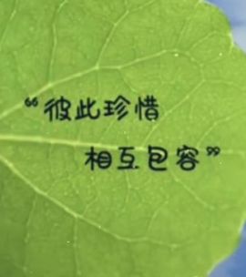 丑小鸭🌈万人迷眼睛主播照片