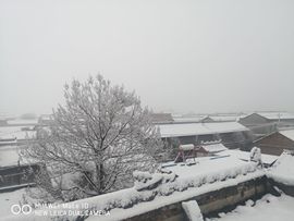 陌上╰.╯花开ღ主播照片