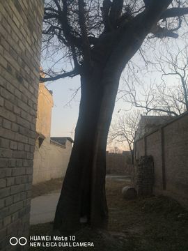 陌上╰.╯花开ღ主播照片