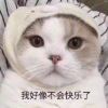 殇ベzey