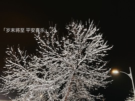 🌀栖棠。💤的图片