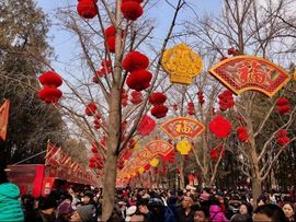 （杨）今天来碗面条主播照片