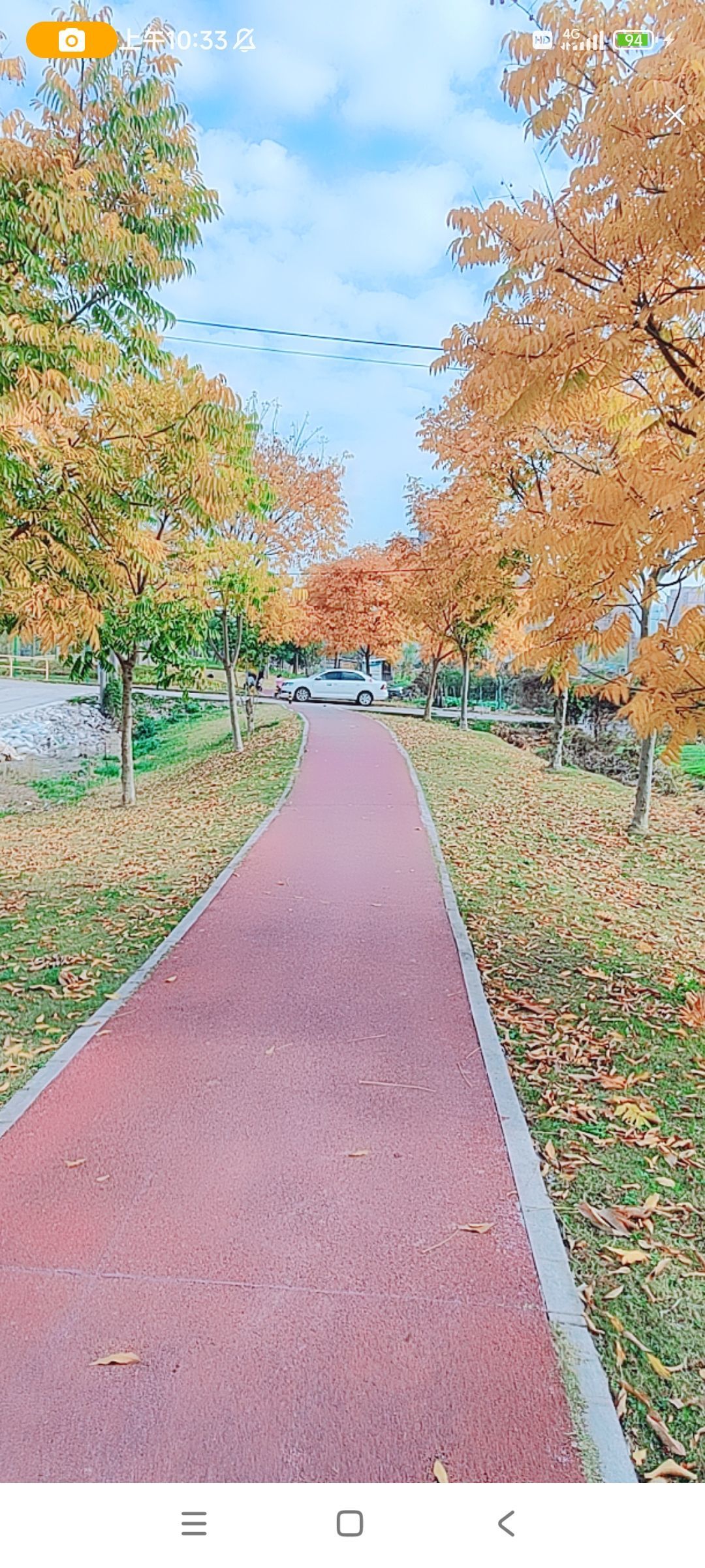 婷婷💕感恩有你陪伴的图片