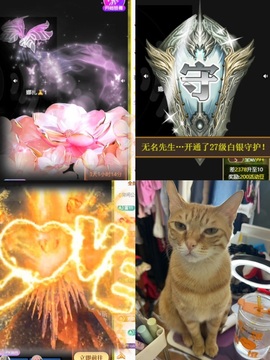 一只小绮梦🍟旺旺旺的图片
