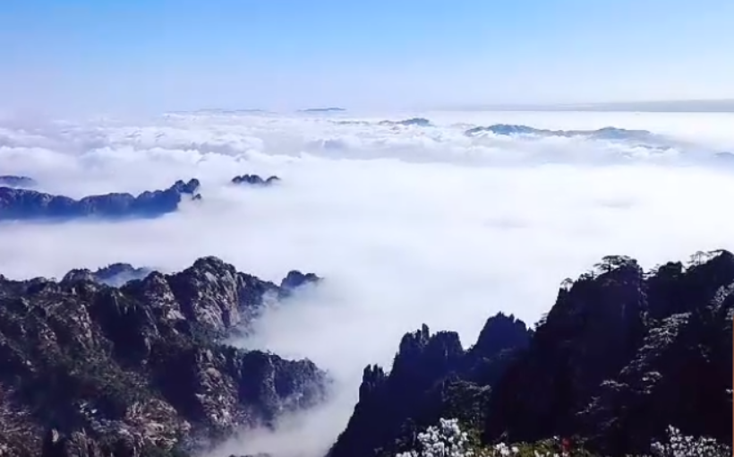 感觉cv主播照片