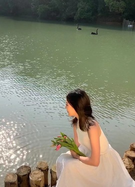 开朗贺coe小楼升级的图片