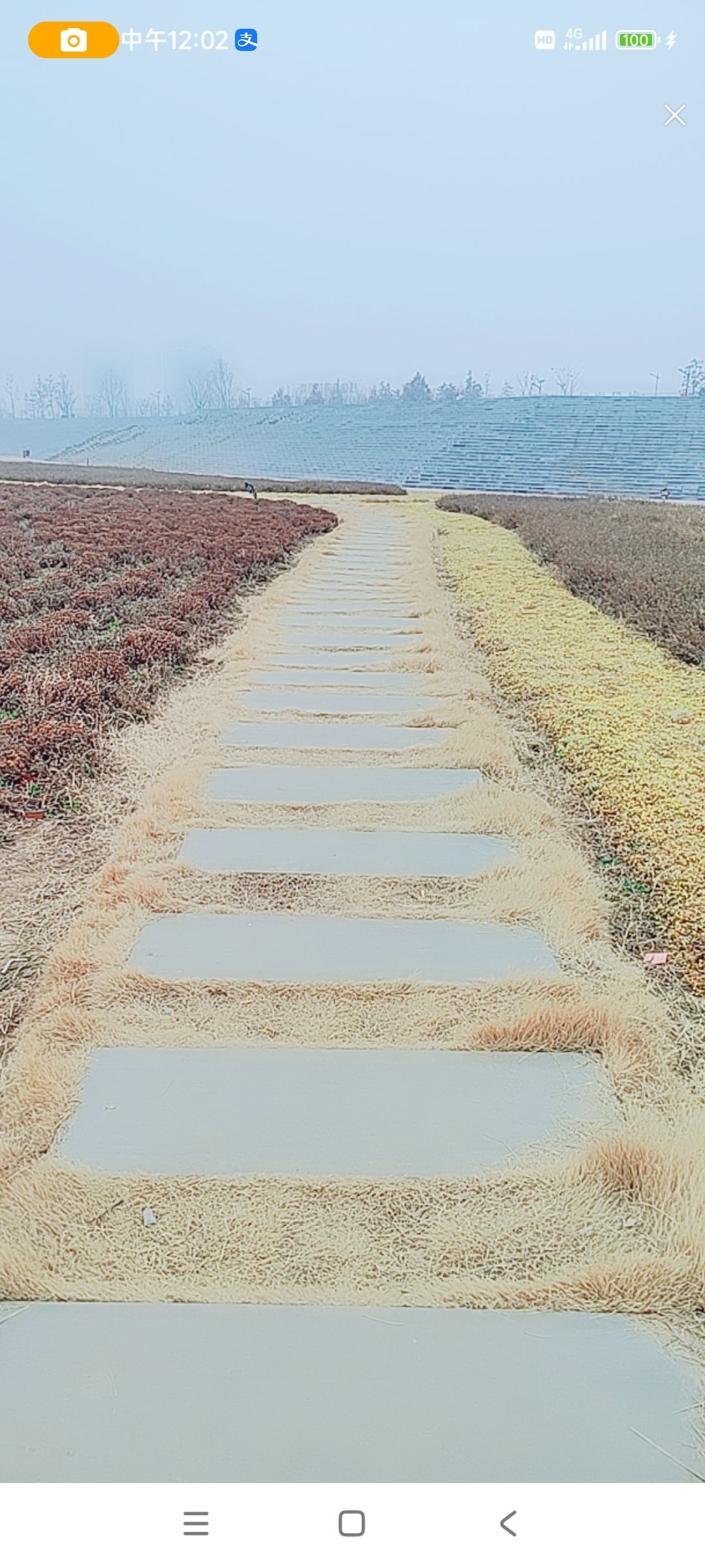 婷婷💕感恩有你陪伴的图片