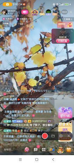 婷婷💕求升级的图片