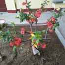 锦龙超市，老胡