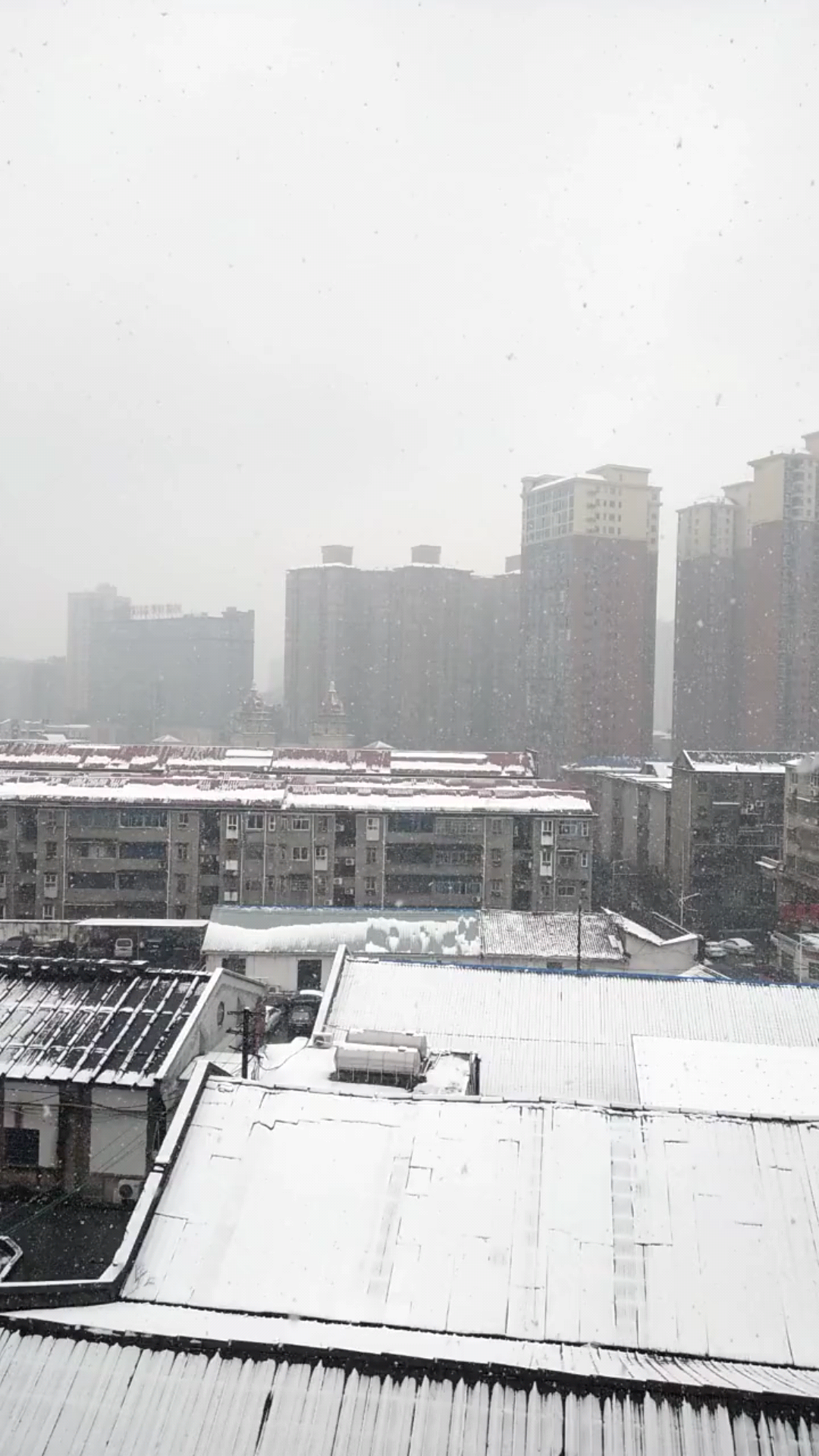 易伟喜迎醴陵暴雪突袭