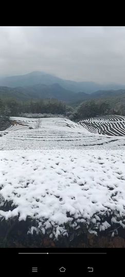 玟玟🌸加油主播照片