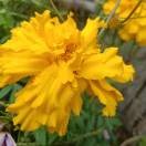 春暖花开6j4l