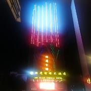 无拘无束的小蜜蜂