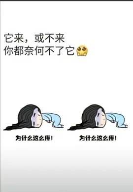 风筝休🦋主播照片