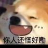 胡sv1海报