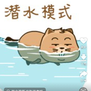 潜水.打酱油