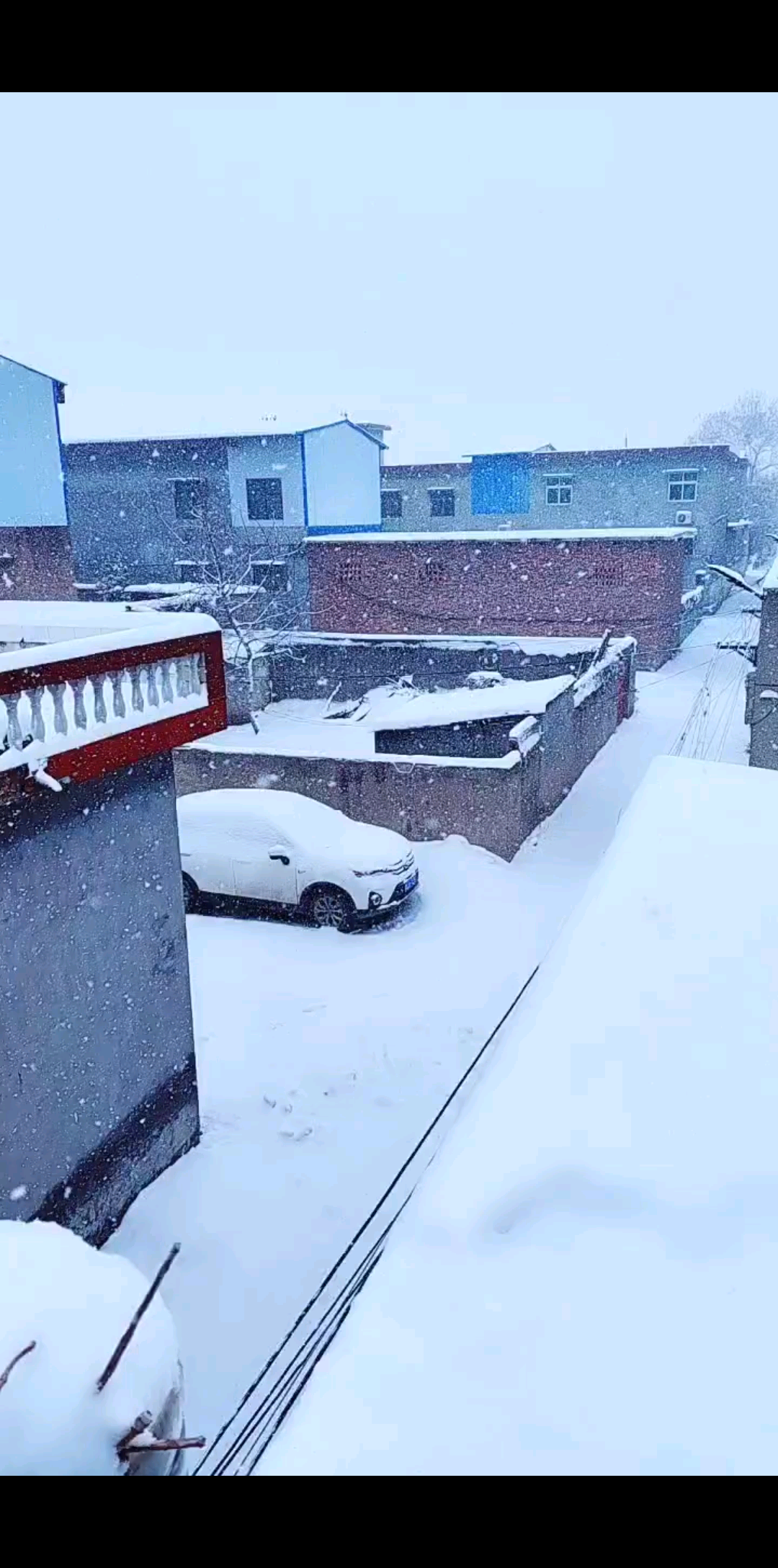 立春的雪