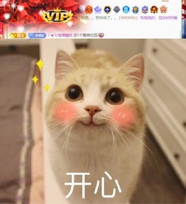 微晨..主播照片