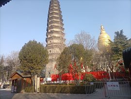 点歌～努力前行主播照片