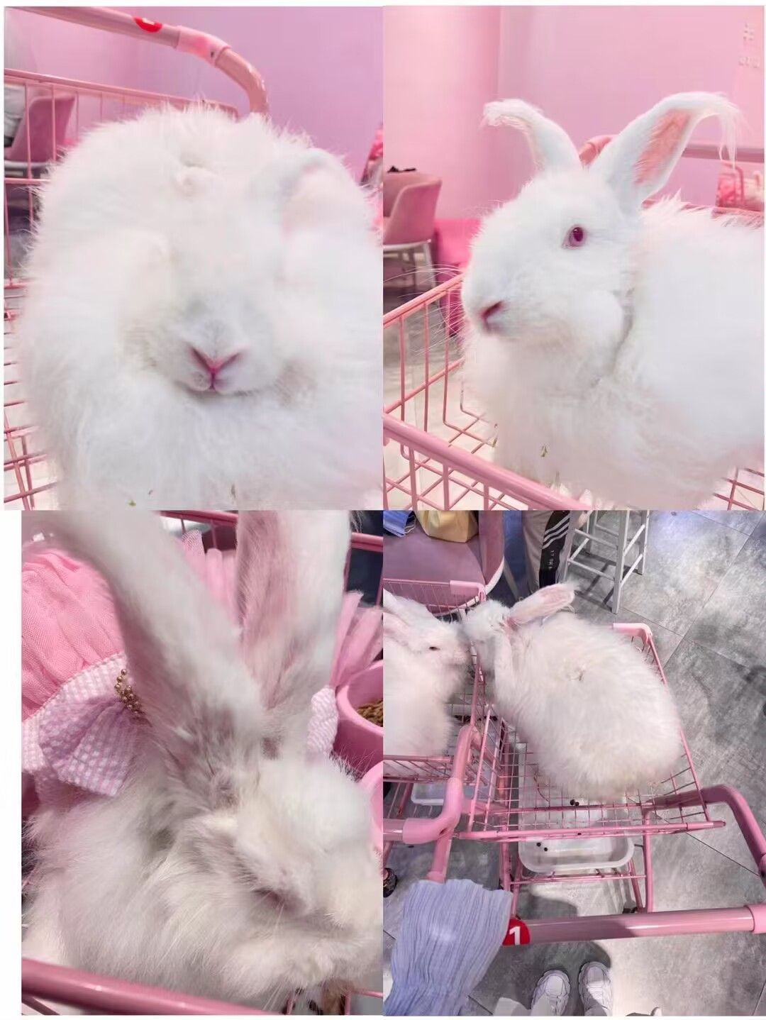 悠然🎈北极星的眼泪的主播照片