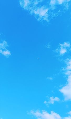 玟玟🌸加油主播照片