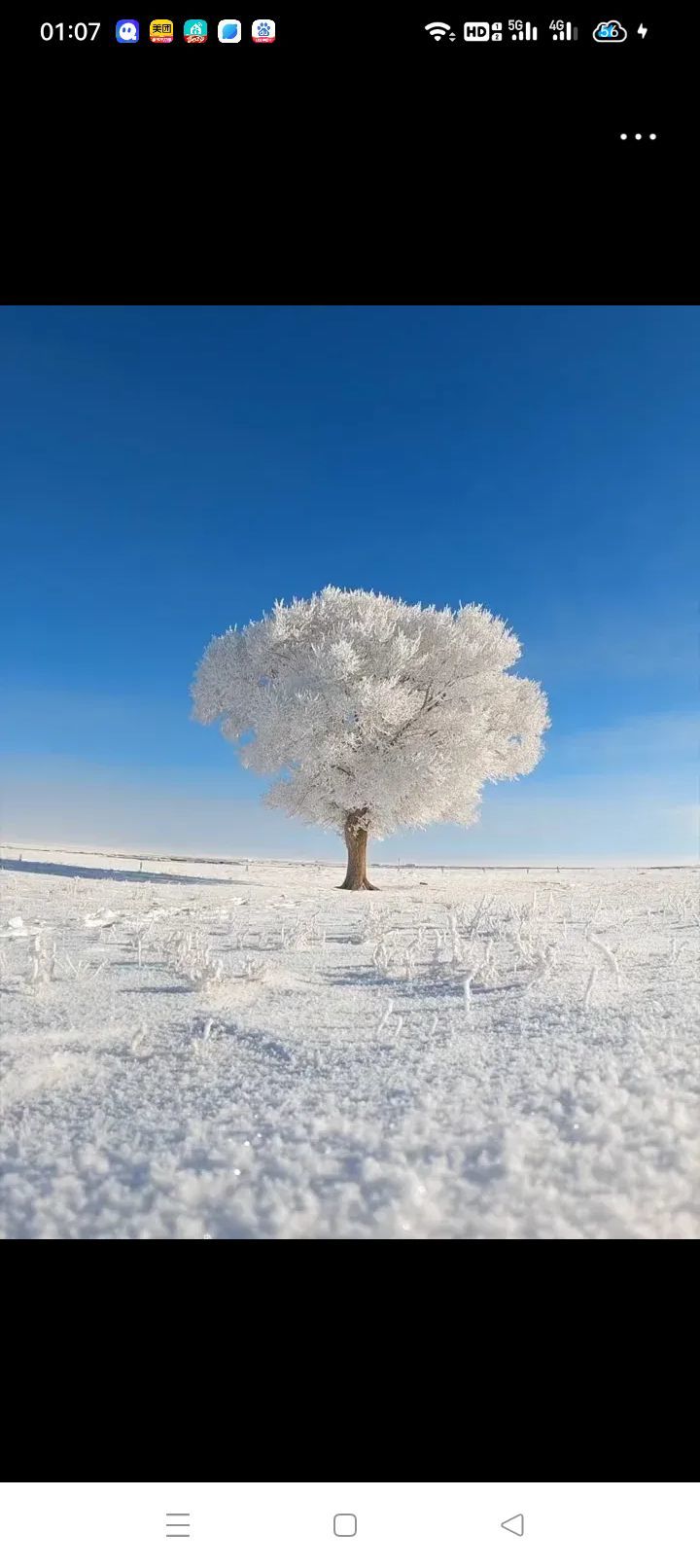 此账号已注销的图片