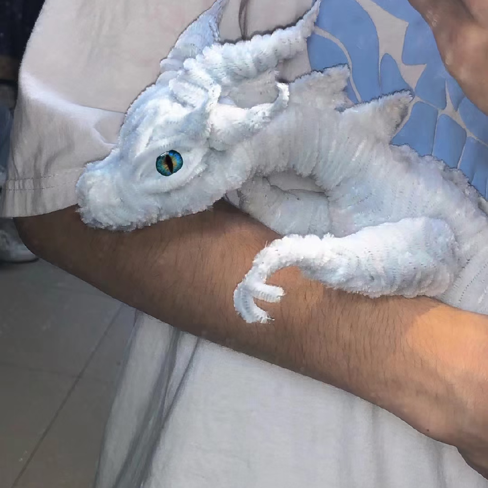 椿fu海报