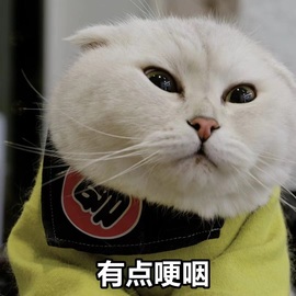 大拉馨💌差1个火山主播照片
