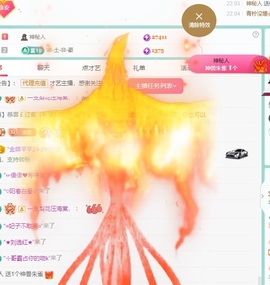念安🎶安静唱歌主播照片