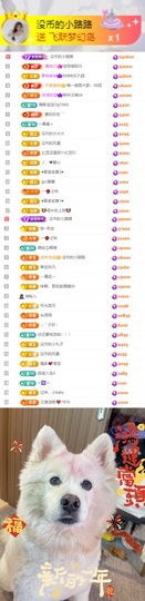 陈慧慧🥕早9晚8主播照片