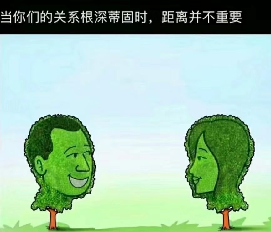 丑小鸭💞愿有一束光的图片