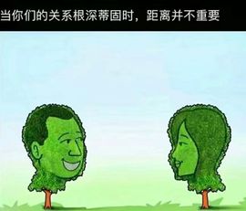 丑小鸭🌈万人迷眼睛主播照片
