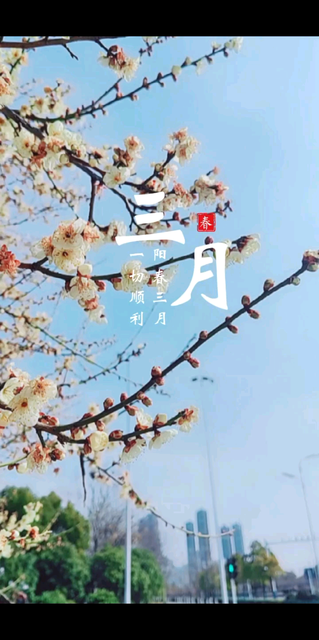 🌸ᵕ̈🌼ॱଳ͘又是三