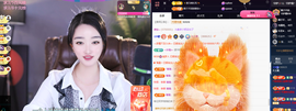 窦窦，家里有事休息了主播照片