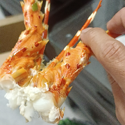 夜鹰2n海报