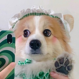 幻幻吖🍀休的图片